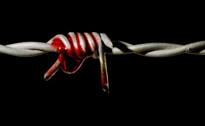 bloody-barbed-wire.jpg bloody-barbed-wire.jpg